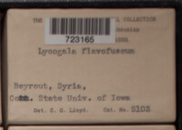 Image Associated With the Occurrence